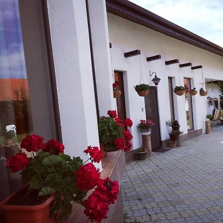 Dridif 135 Bed & Breakfast Exterior photo