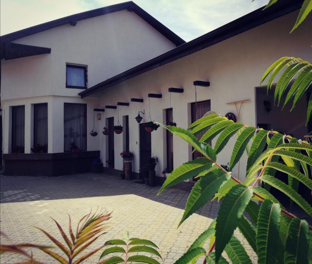 Dridif 135 Bed & Breakfast Exterior photo