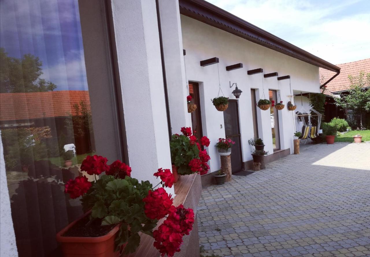 Dridif 135 Bed & Breakfast Exterior photo