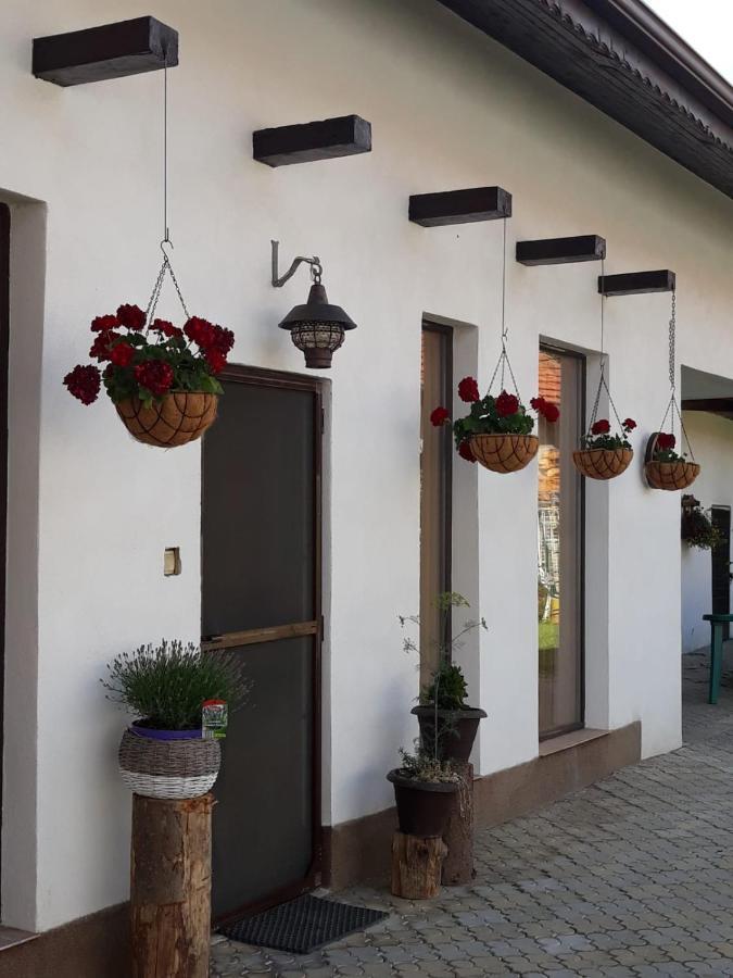 Dridif 135 Bed & Breakfast Exterior photo